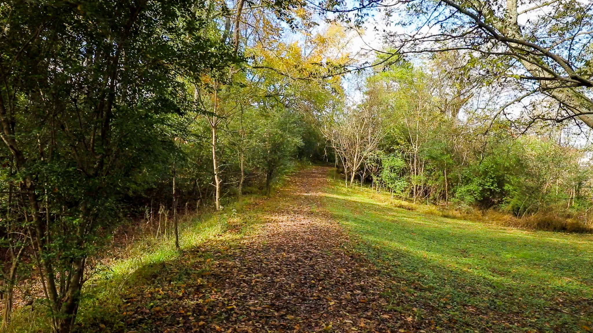 A greenway trail in Franklin, Tennessee
