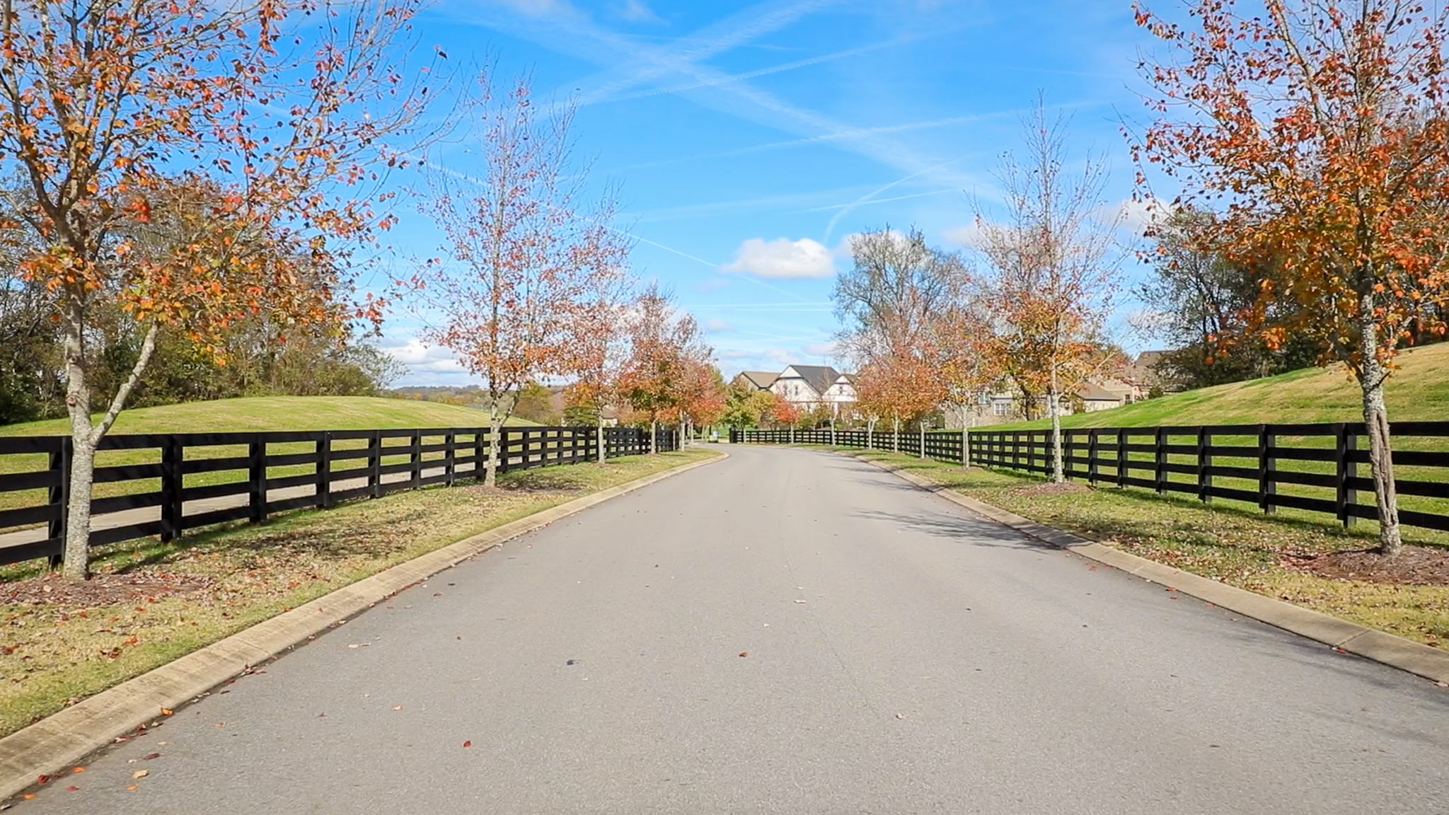 A tree-lined neighborhood street in Franklin, Tennessee